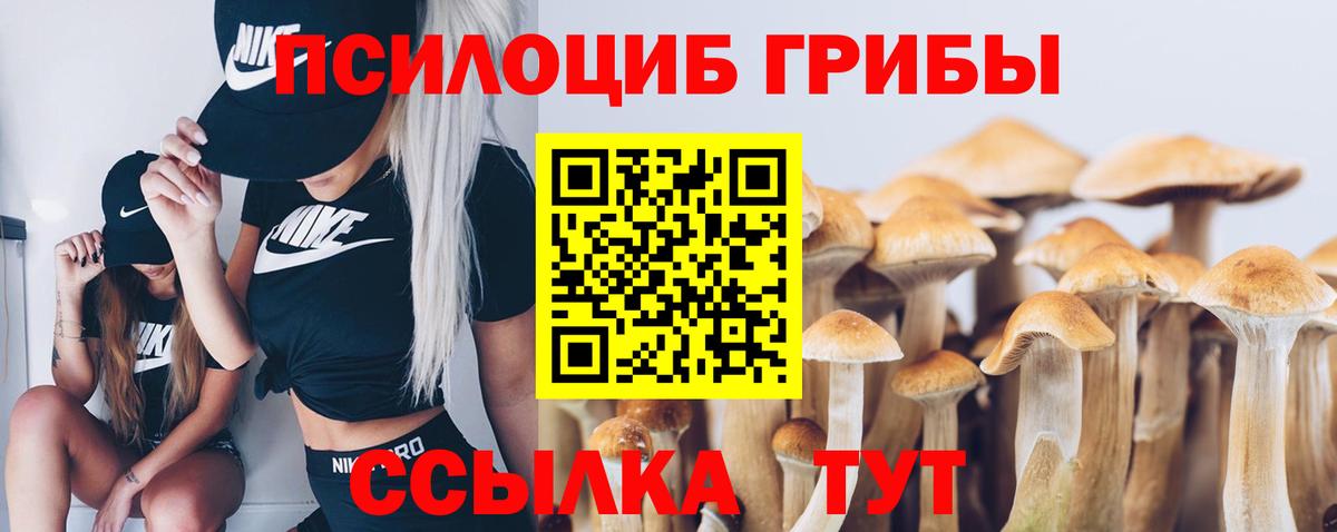 Псилоцибиновые грибы Magic Shrooms Новоуральск
